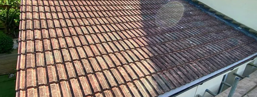 Renewed Forest Hill Roof