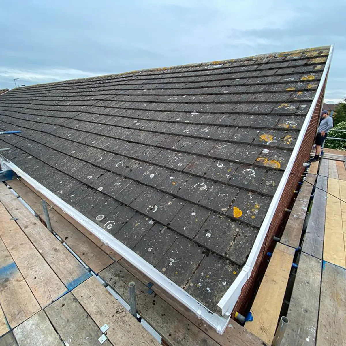 Renewed Forest Hill Roof
