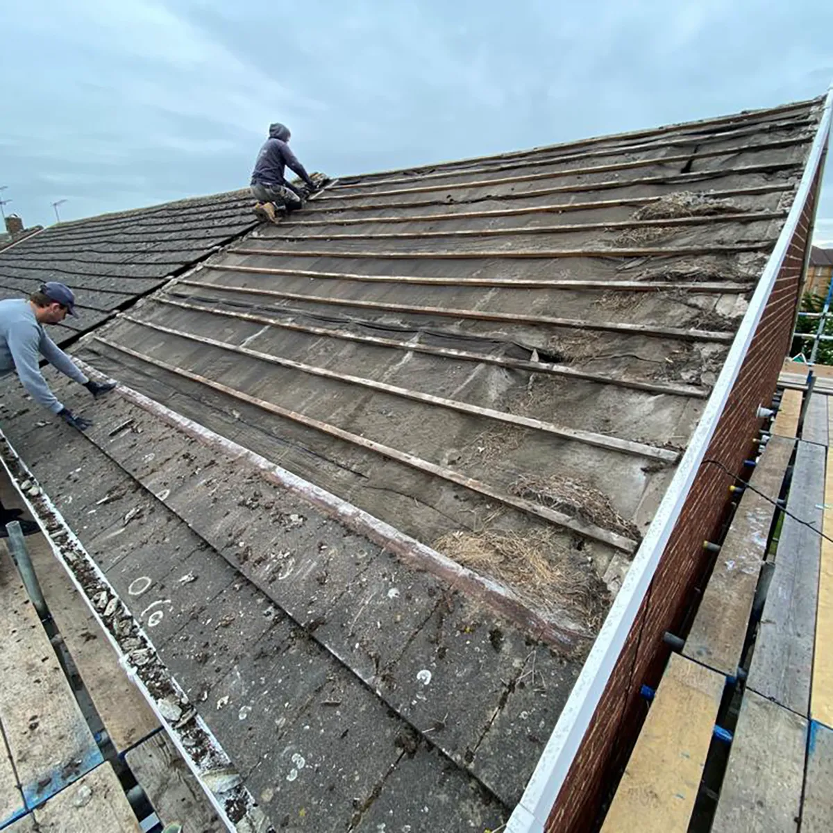 Renewed Roof in Erith