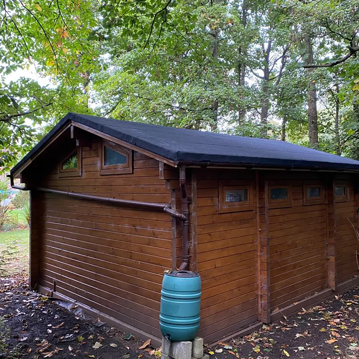 Shed Roof in Chislehurst