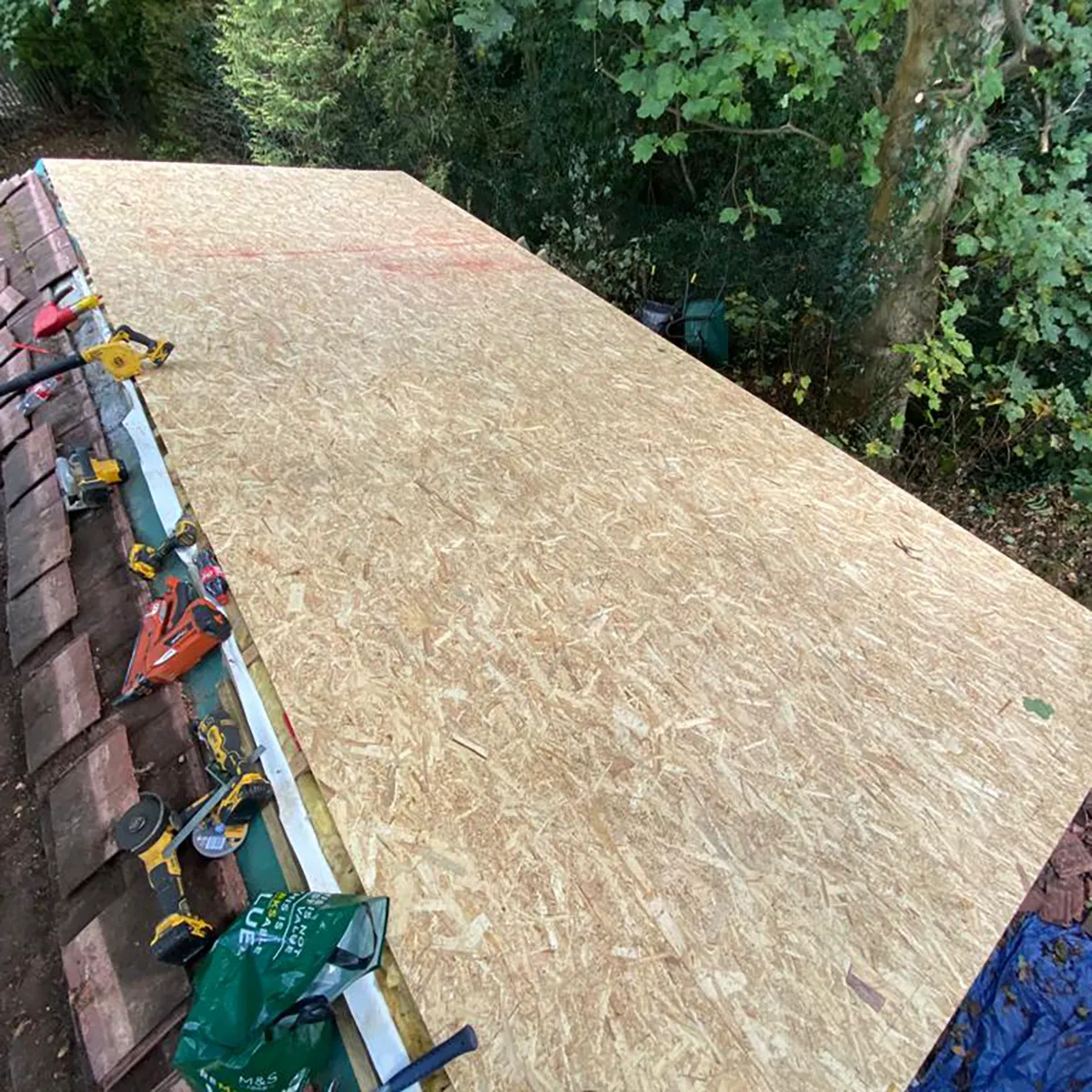 Shed Roof in Chislehurst