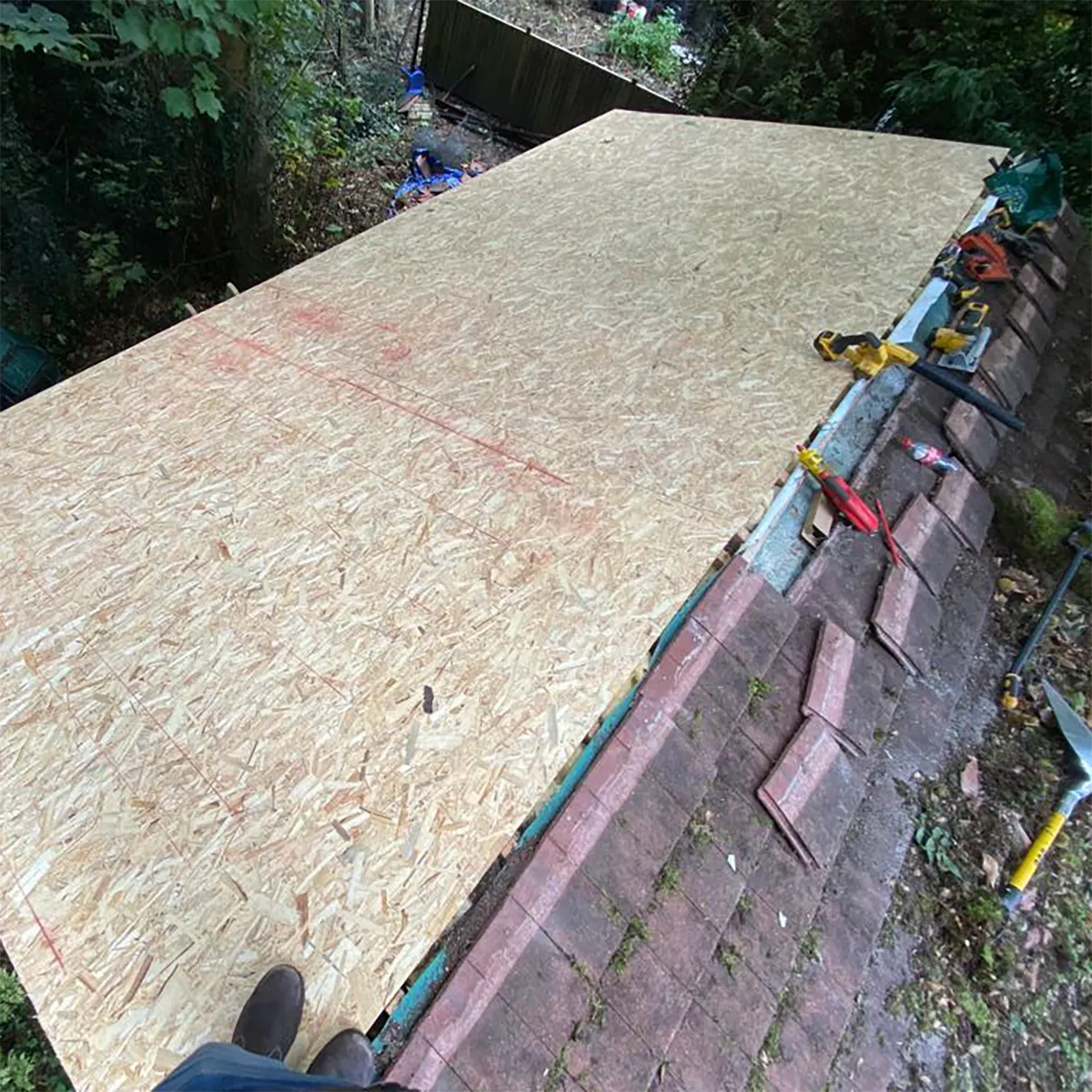 Shed Roof in Chislehurst