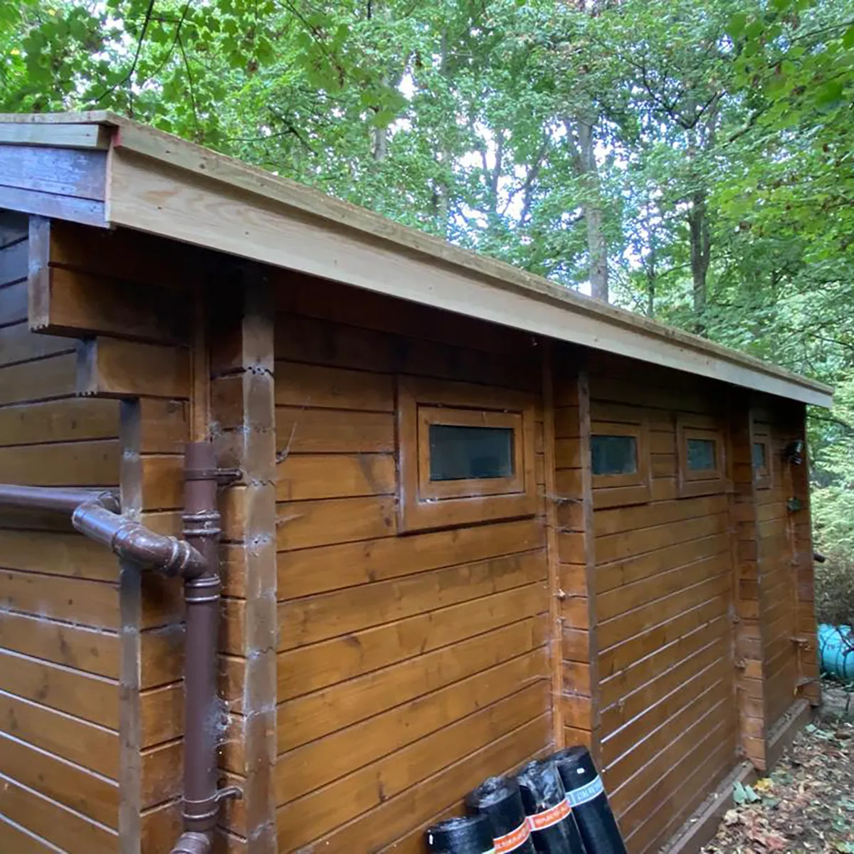 Shed Roof in Chislehurst