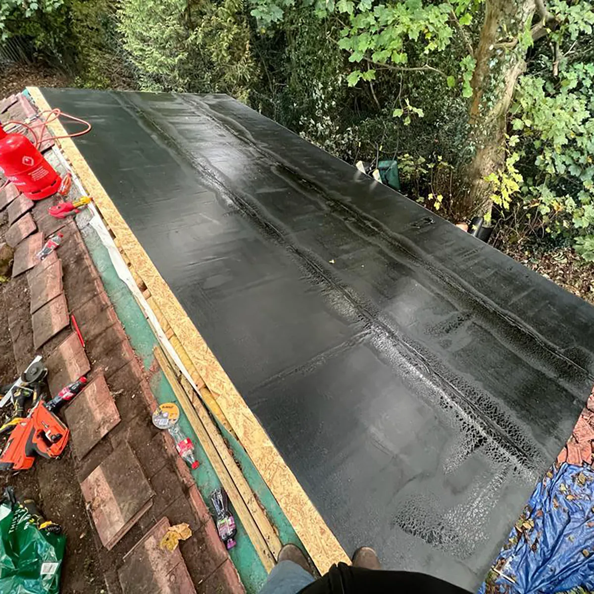 Shed Roof in Chislehurst